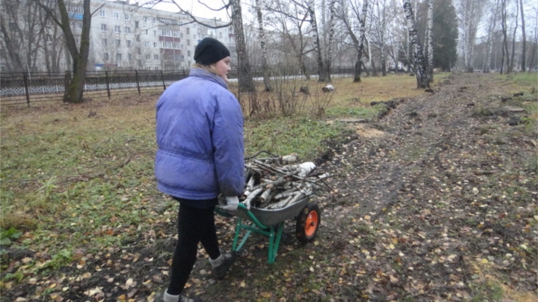 Ежедневно в парке культуры и отдыха города Шумерли ведется санитарная очистка территории