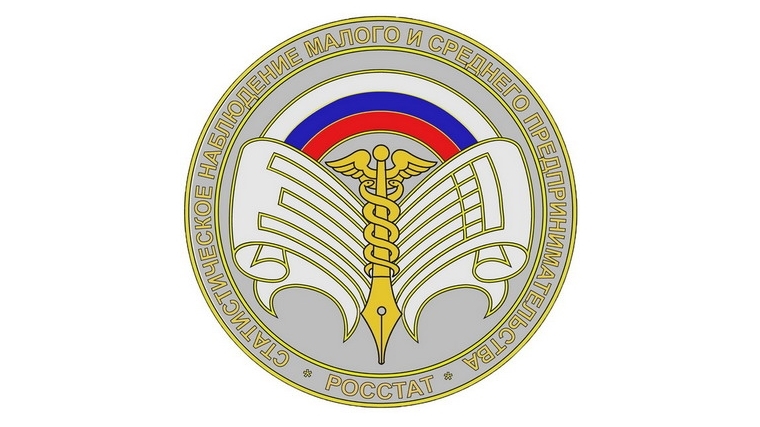 О ходе подготовительных работ к проведению бизнес-переписи