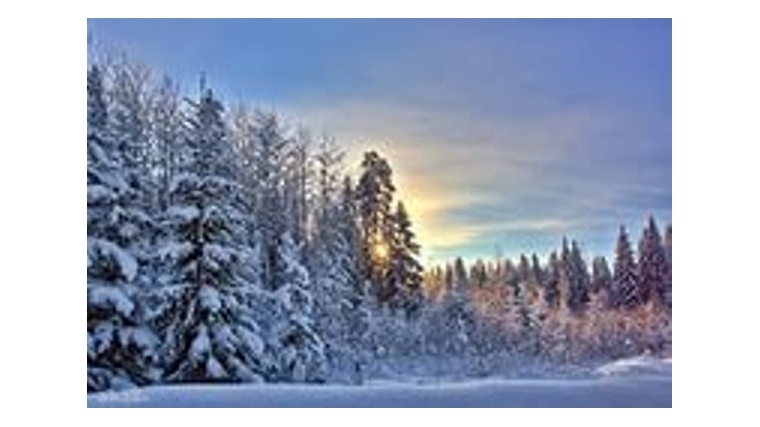 Декабрь - первый месяц зимы
