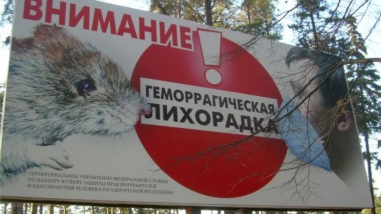 Осторожно: геморрагическая лихорадка с почечным синдромом!