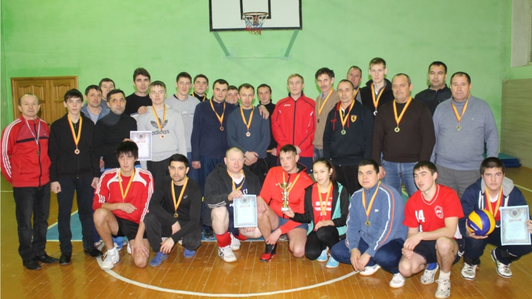 Новогодний турнир по волейболу среди мужских команд провели в Андреево-Базарском сельском поселении