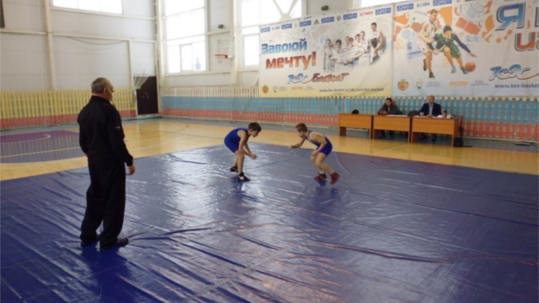 В рамках Декады спорта и здоровья в городе Канаш прошел отбор к участию в республиканском турнире по вольной борьбе среди юношей на призы Ивана Григорьева