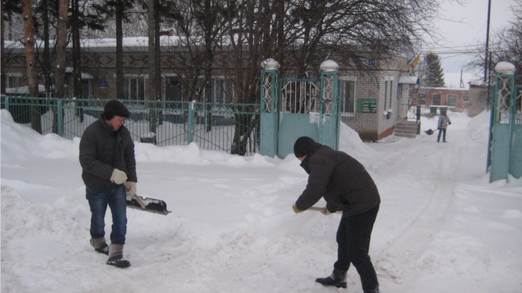 Обеспечим свободный доступ к здоровью братьев наших меньших!