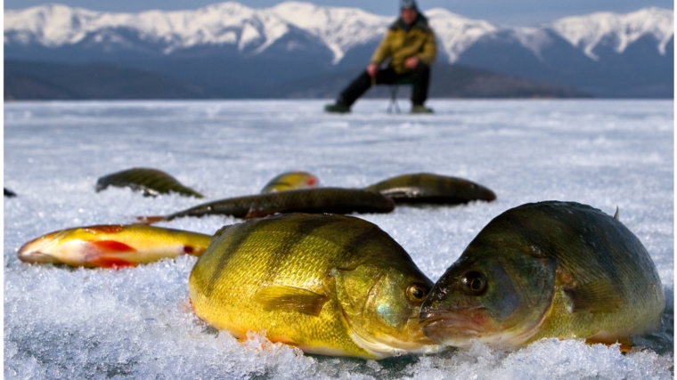Главным призом &quot;Чебоксарской рыбалки&quot; станет мини-снегоход