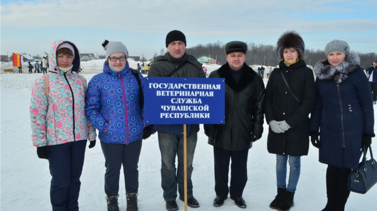 Ветеринарные специалисты Госветслужбы Чувашии участвовали в &quot;Лыжне России - 2016&quot;