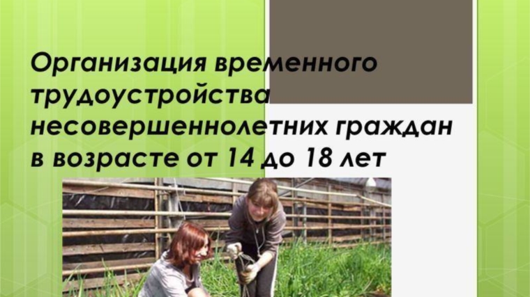 Трудоустройство несовершеннолетних проект 8 класс школьный Трудовое воспитание подростков - одна из социальных задач общества г. Шумерля Чу