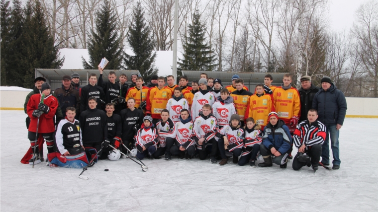 В Шумерлинском районе состоялся хоккейный турнир в честь Дня защитника Отечества