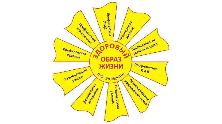 Проект формирование здорового образа жизни школьника