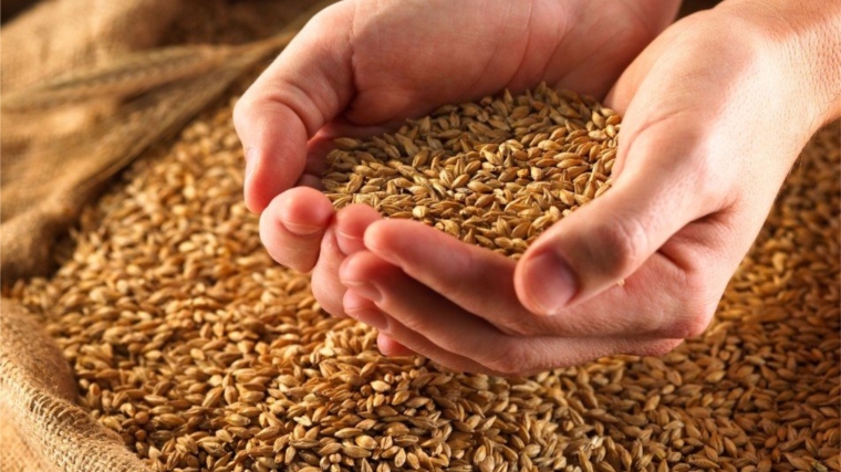 В хозяйствах республики семена яровых зерновых и зернобобовых культур засыпаны в объеме 48,7 тыс. тонн или 101% от потребности