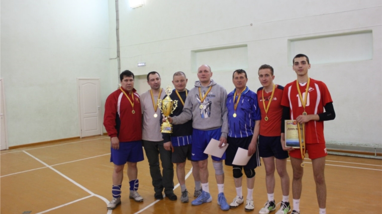 Команда «Итмар» – чемпион Красноармейского района по волейболу среди мужских команд 2016 года