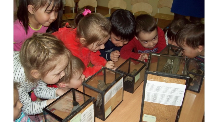 Передвижная выставка «Птицы нашего края» в детских садах г. Цивильска