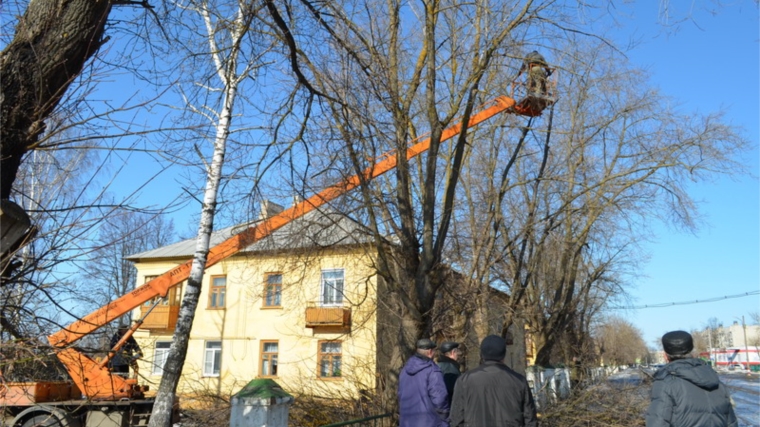 В Шумерле активизировалась работа по спилу и обрезке аварийных деревьев
