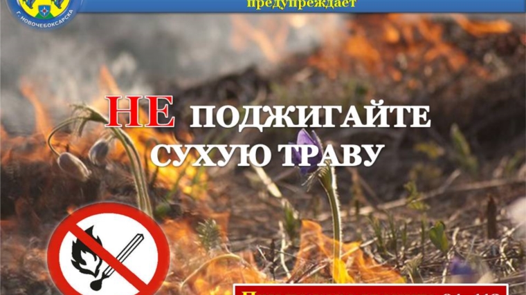 Управление по делам ГО и ЧС города Новочебоксарска предупреждает о запрете палов сухой травы
