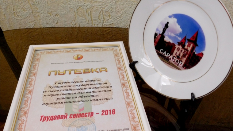 Студенческие трудовые отряды ЧГСХА получили путевку в «Трудовой семестр – 2016»