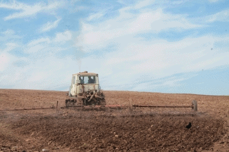 В Тегешевском сельском поселении продолжаются весенне-полевые работы