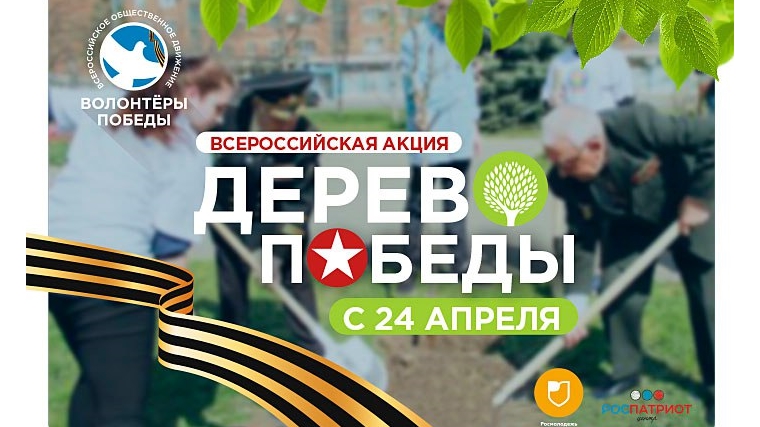 В городе Канаш стартовала Всероссийская акция «Дерево Победы»
