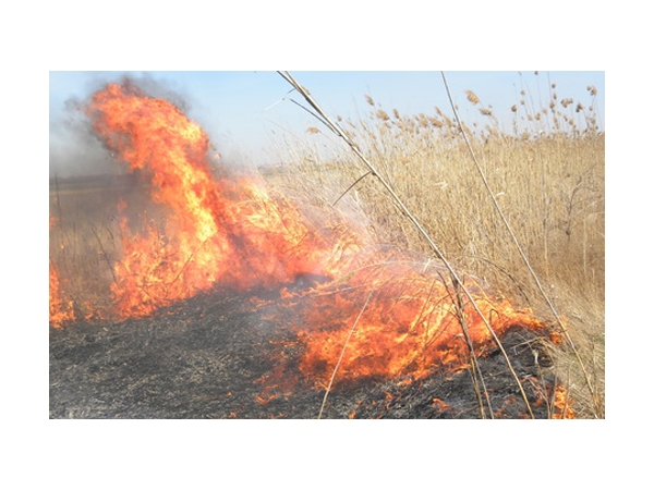 Безопасное сжигание мусора и сухой травы