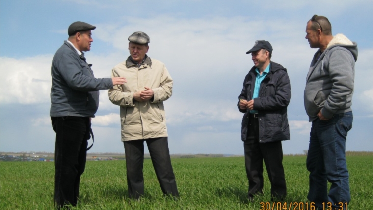 Урмарский район с рабочим визитом посетил заместитель министра сельского хозяйства Чувашской Республики Константин Никитин