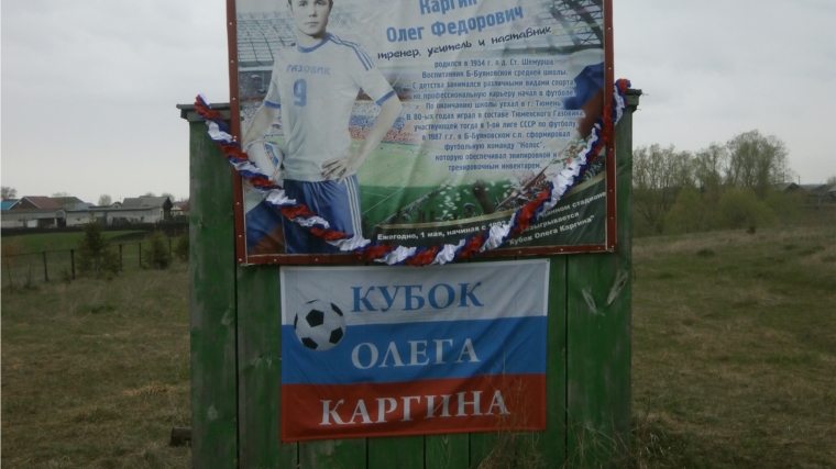 На спортивном стадионе д.Старая Шемурша состоялся традиционный  турнир по мини-футболу памяти Олега Каргина