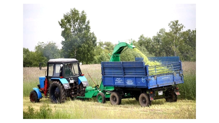 Владельцы ЛПХ и крестьянско-фермерские хозяйства Ядринского района продолжают оформлять льготные кредиты для развития сельхозпроизводства