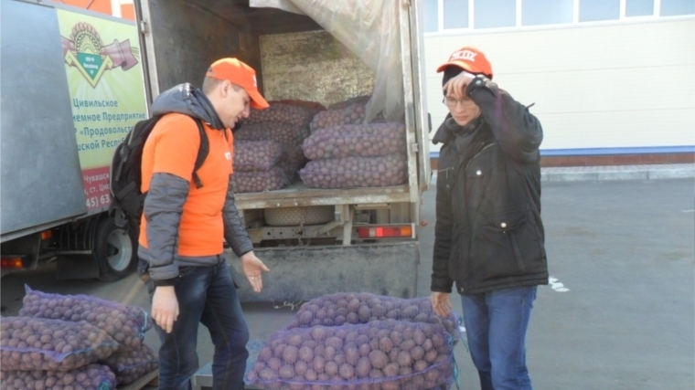 Сельскохозяйственный месячник «Весна - 2016»: в Ленинском районе реализовано 7145 кг овощей