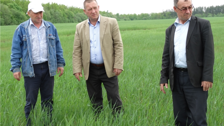 Глава администрации Красночетайского района оценил ход весенне-полевых работ в крестьянско - фермерском хозяйстве Николая Лисаева