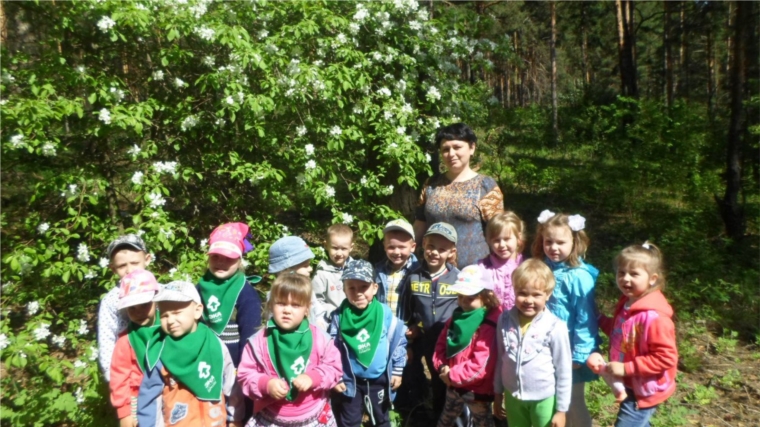 Увлекательное приключение воспитанников Чуварлейского детского сада «Колокольчик» в мир природы