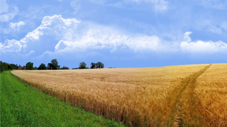В Шумерлинском районе началась инвентаризация земель сельскохозяйственного назначения