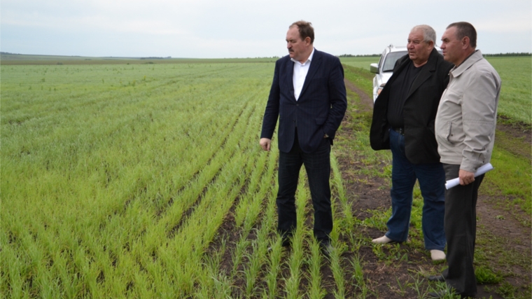 Вице-премьер Чувашии Михаил Резников ознакомился с деятельностью сельхозпредприятий Алатырского района