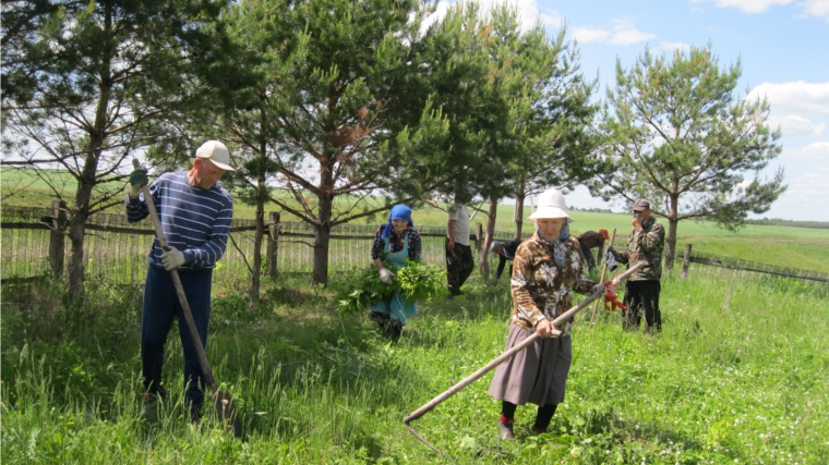 Вести поселений: Уборка на территории кладбища деревни Кильдюшево