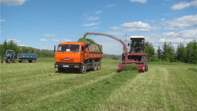 В сельскохозяйственных организациях Красноармейского района горячая пора заготовки кормов