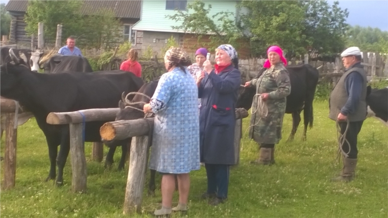 На страже эпизоотического благополучия.