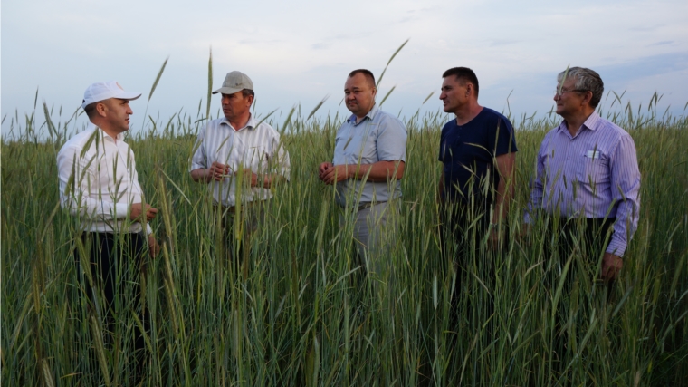 Министр Сергей Артамонов в рамках рабочей поездки ознакомился с деятельностью ряда сельхозпредприятий Ибресинского района
