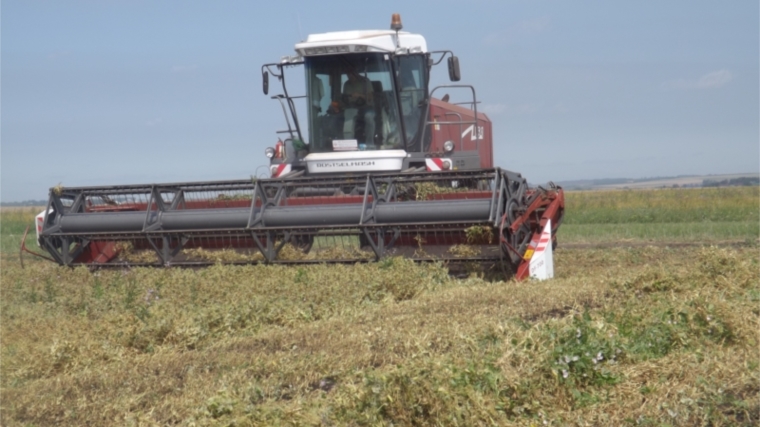В 8 хозяйствах Яльчикского района началась уборка зерновых культур