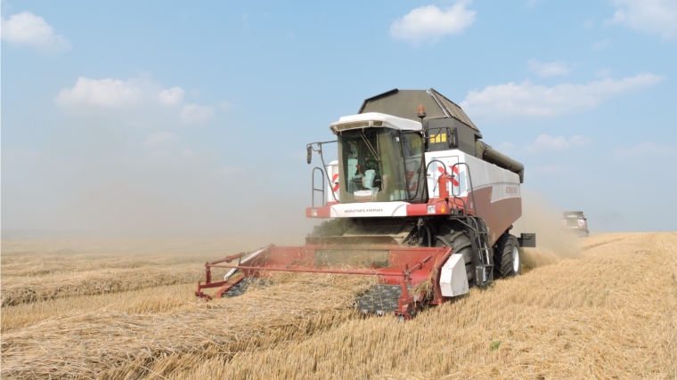 Сельскохозяйственные товаропроизводители Яльчикского района намолотили первые 11 тысяч тонн зерна из нового урожая