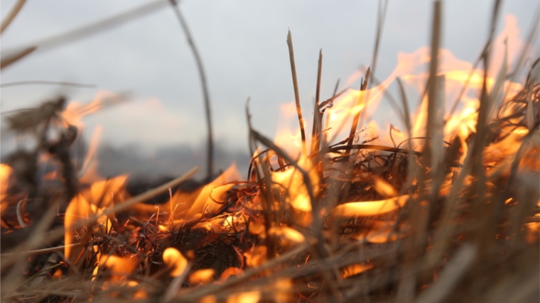 В регионах Приволжского федерального округа растет риск лесных пожаров, связанных с переходом огня выжиганий сухой травянистой растительности на сопредельных территориях