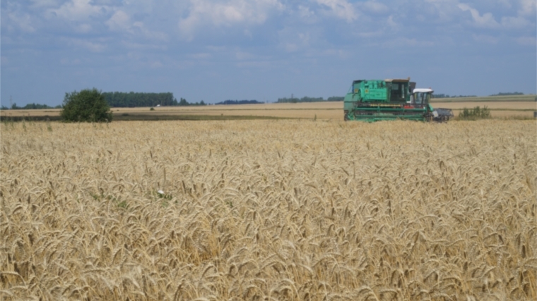В четырех хозяйствах Комсомольского района завершена уборка зерновых и зернобобовых культур