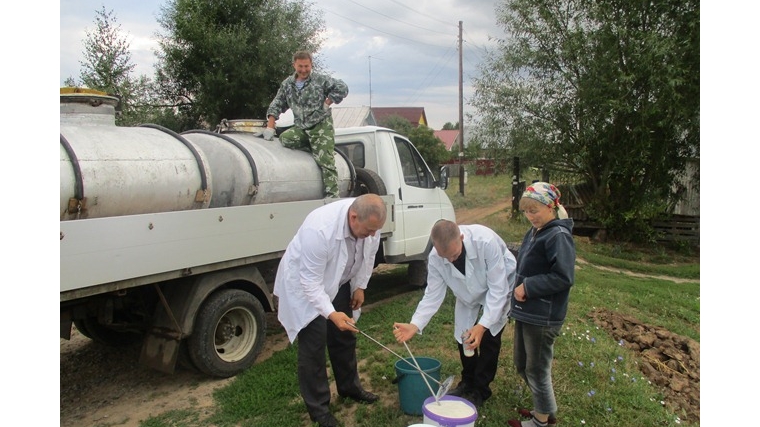 Исследования качества молока в Чебоксарском районе