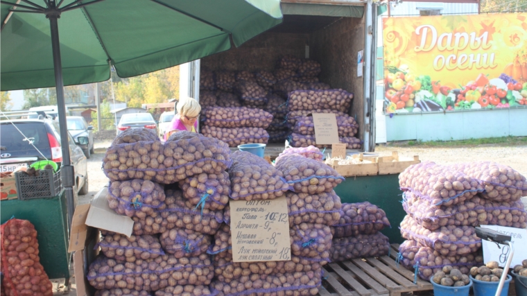 В городах Чувашии стартуют ярмарки по реализации сельскохозяйственной продукции «Дары осени - 2016»