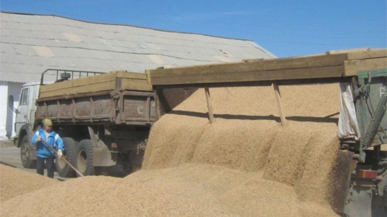 На 23 августа закуплено 65,7 тыс. тонн зерна урожая 2016 г