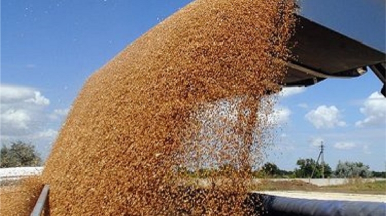 Государство в четверг купило около 8,4 тыс. т зерна