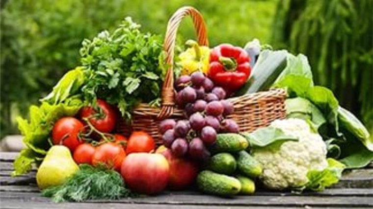 Оперативная информация о реализации сельскохозяйственной продукции на ярмарках «Дары осени – 2016»