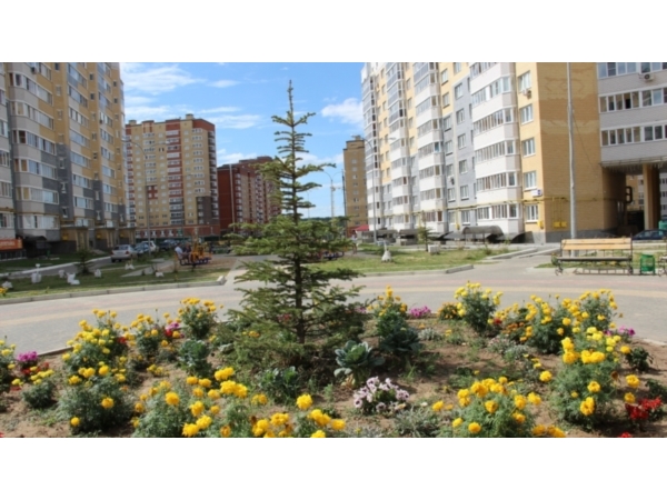 Здесь живут уют и красота