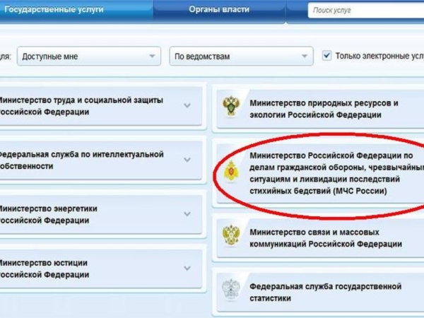 Государственные услуги МЧС России в сети интернет