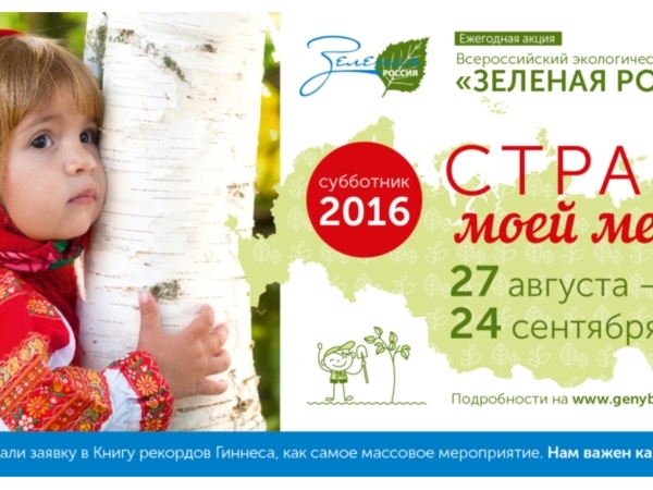 Зеленая уборка