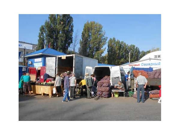 На ярмарках «Дары осени» чебоксарцы приобрели 48 тонн местных овощей