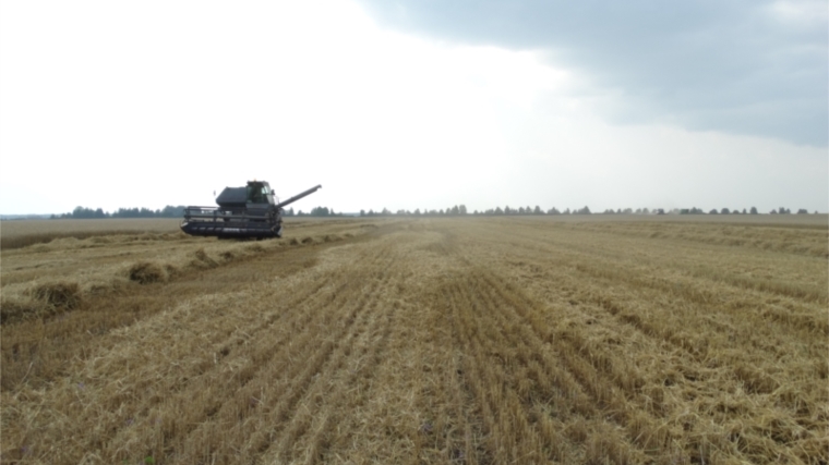 В Красночетайском районе завершена уборка зерновых культур