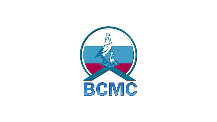Глава города Чебоксары Леонид Черкесов принял участие во Всероссийском Совете местного самоуправления