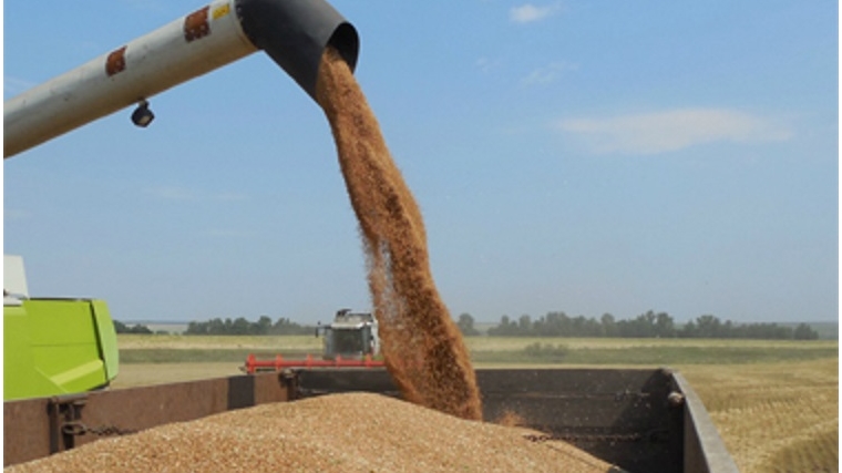 Уборка зерновых культур в Аликовском районе выходит на финишную прямую