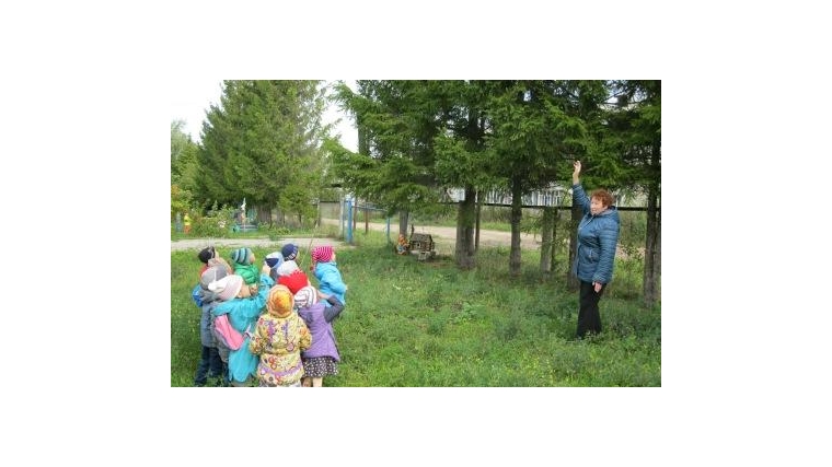 Экологическое воспитание детей в детском саду &quot;Сказка&quot; г. Ядрин